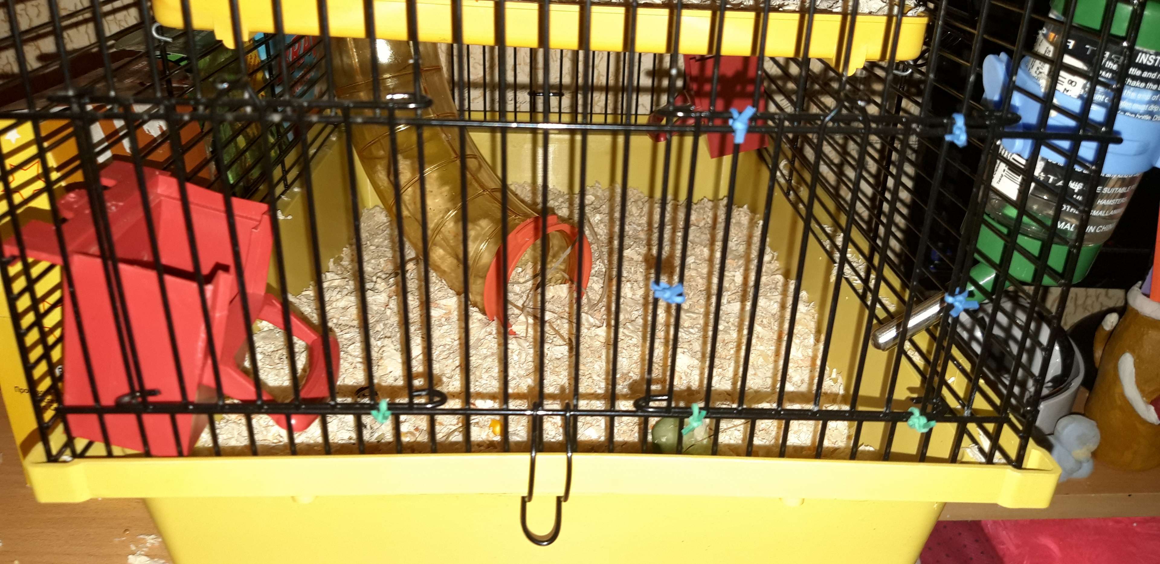 Фотография покупателя товара Клетка для грызунов трехярусная с лабиринтом и колесом, 39 x 29 х 64 см, микс цветов - Фото 6