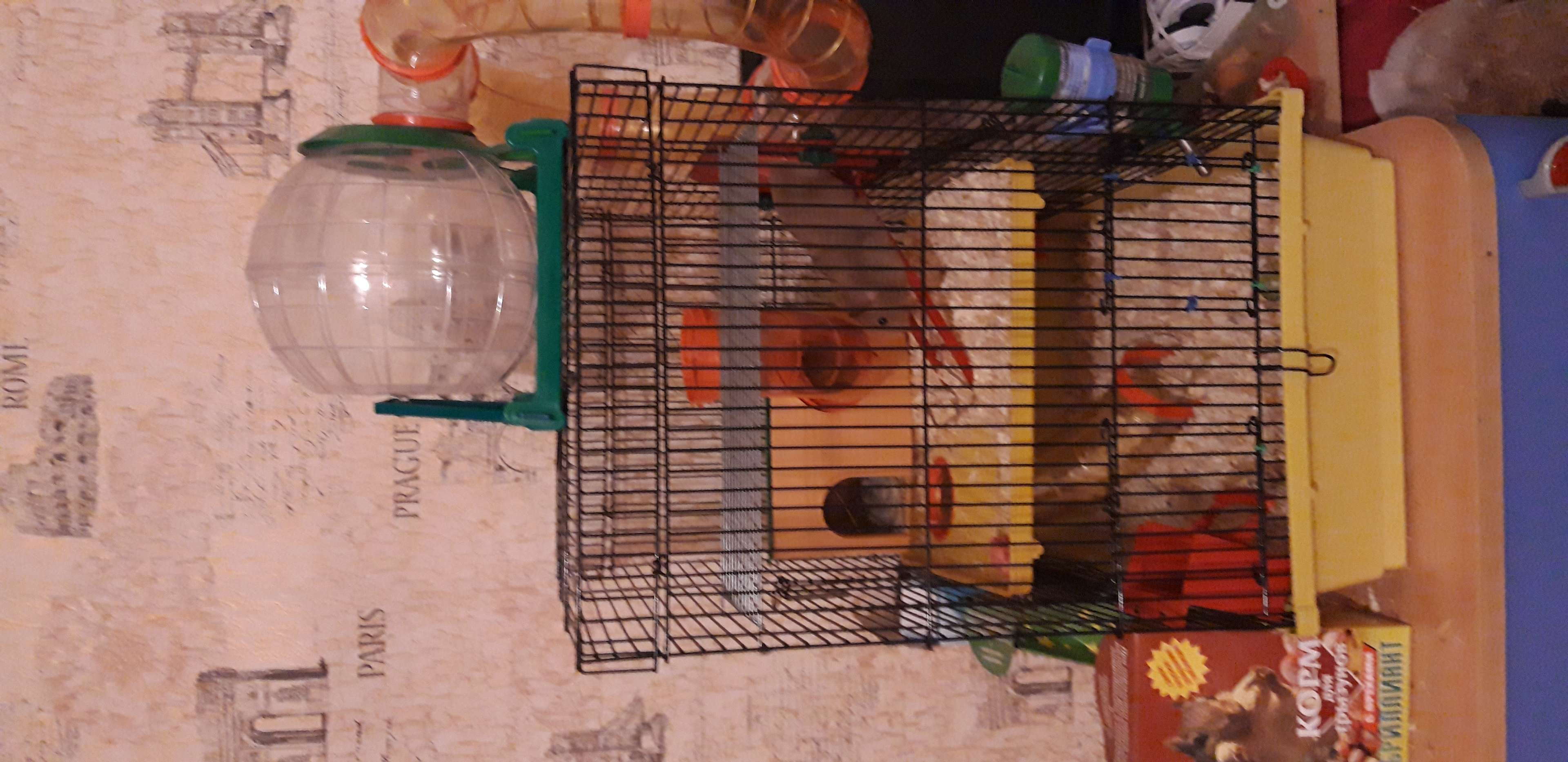 Фотография покупателя товара Клетка для грызунов трехярусная с лабиринтом и колесом, 39 x 29 х 64 см, микс цветов - Фото 7