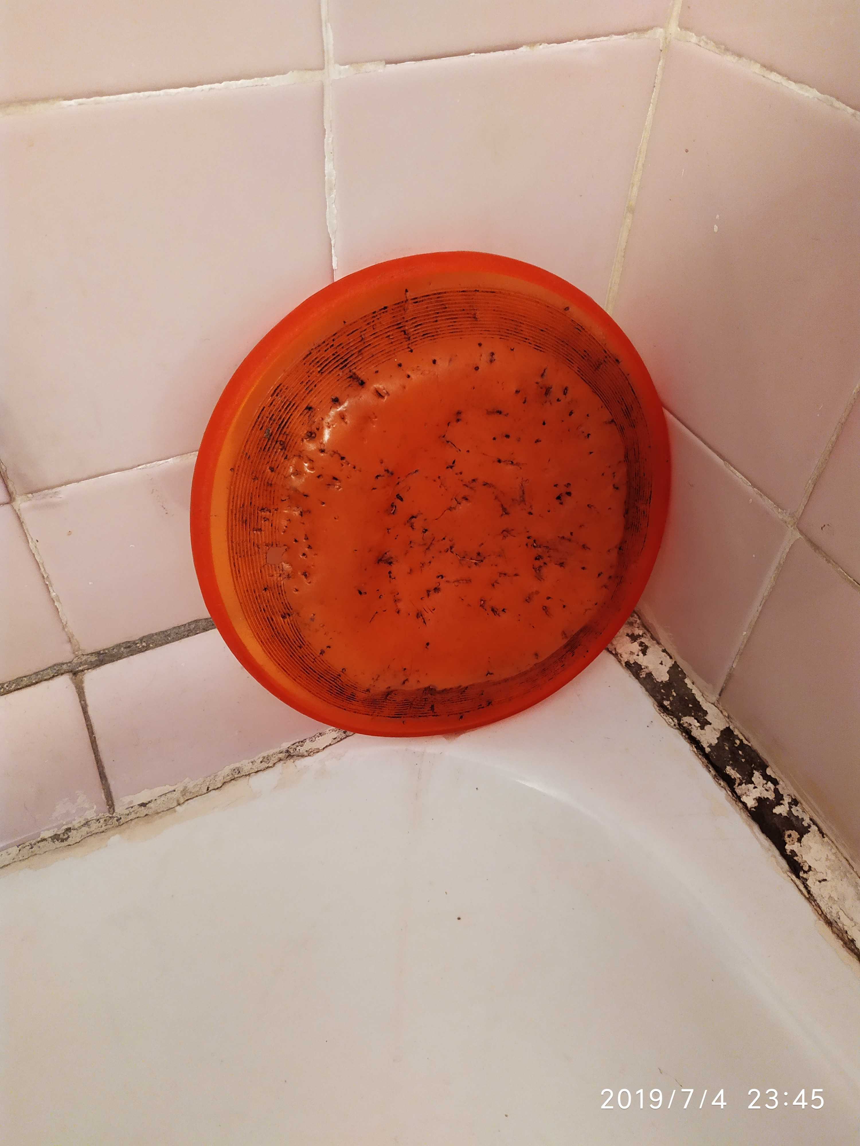 Фотография покупателя товара Диск Trixie для игры ф 19 см. - Фото 1