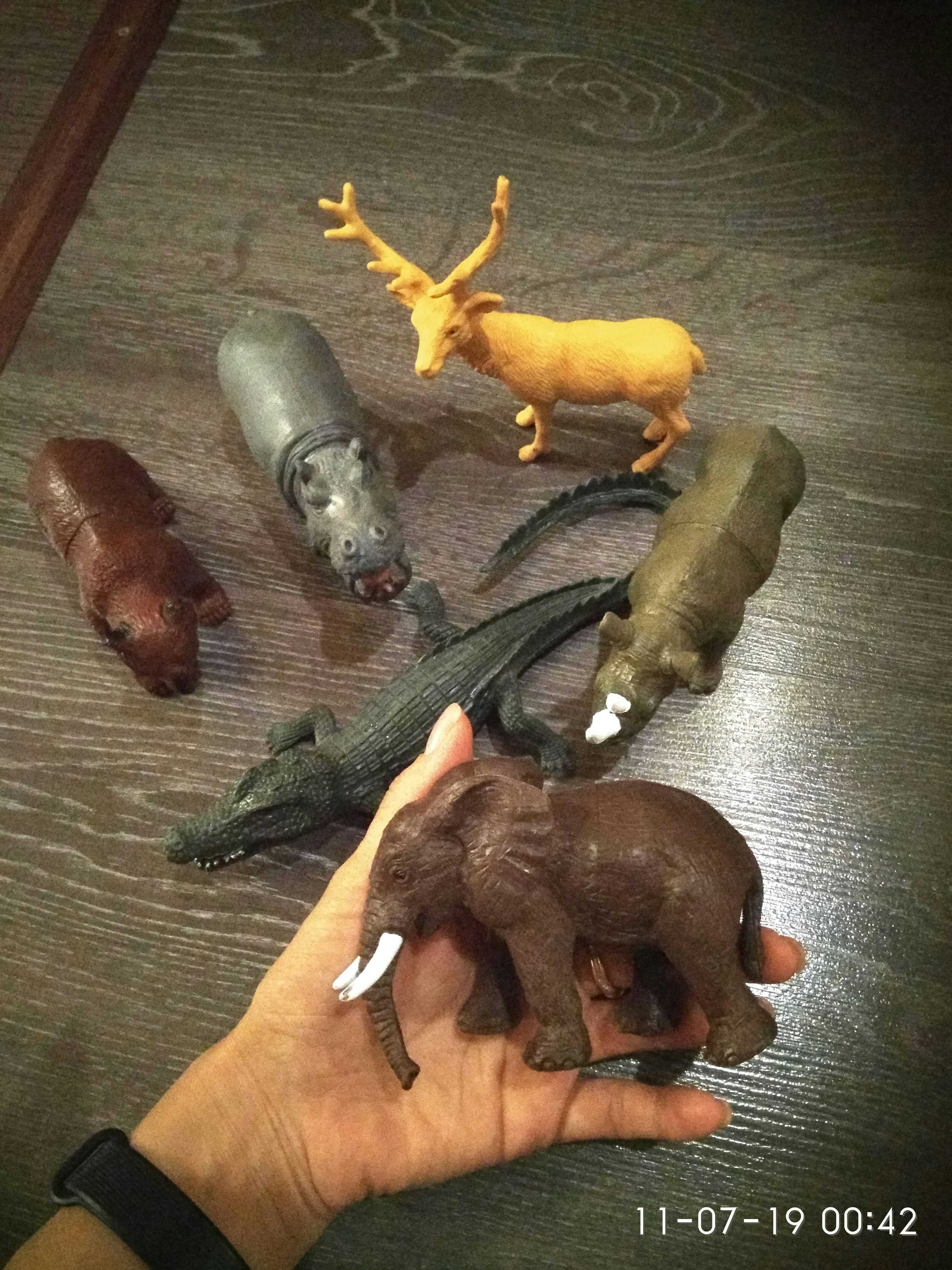 Фотография покупателя товара Набор животных «Дикие звери», 6 фигурок