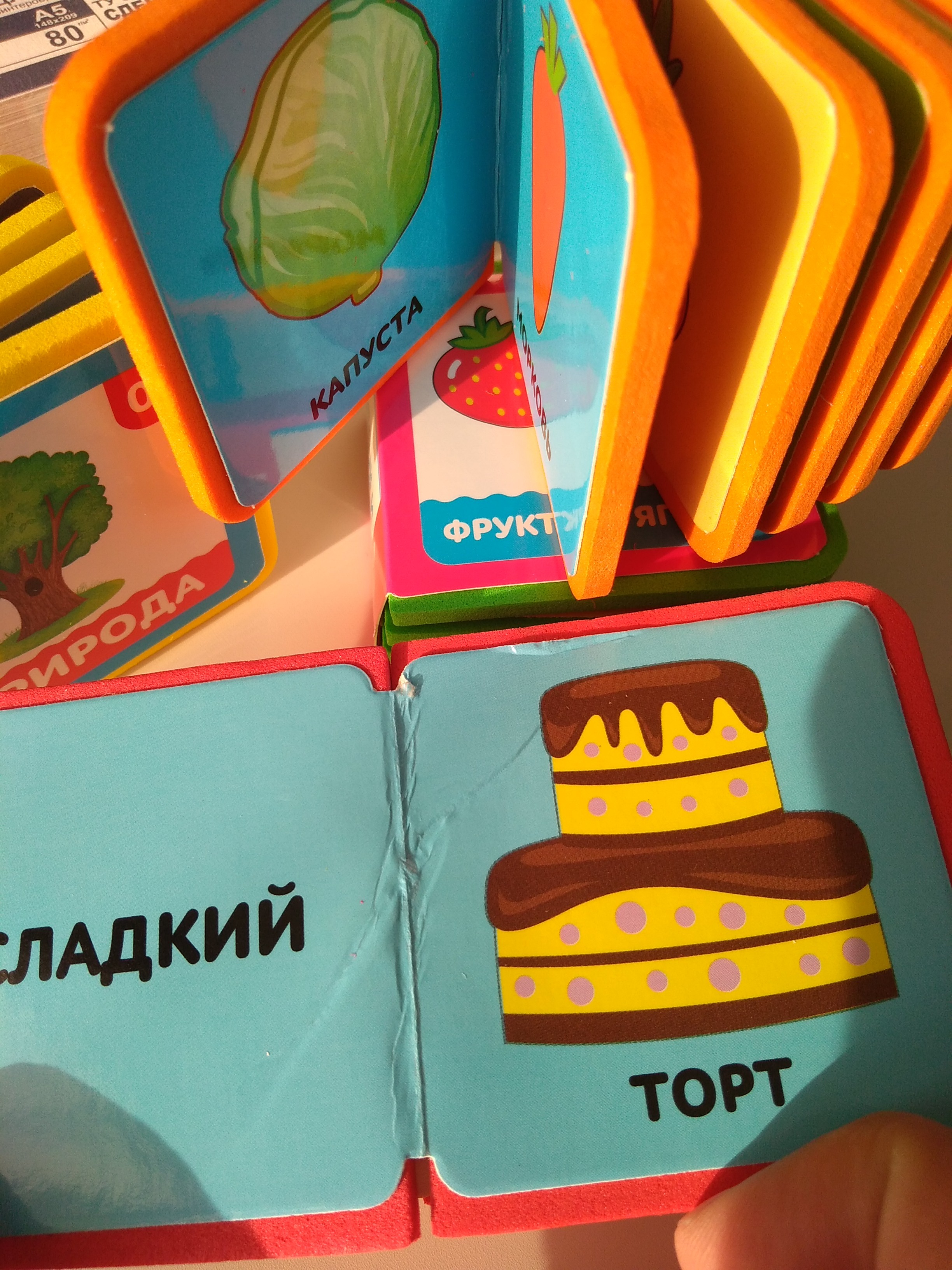 Фотография покупателя товара Набор мягких книжек-кубиков из EVA «Окружающий мир», 4 шт. по 12 стр. - Фото 1