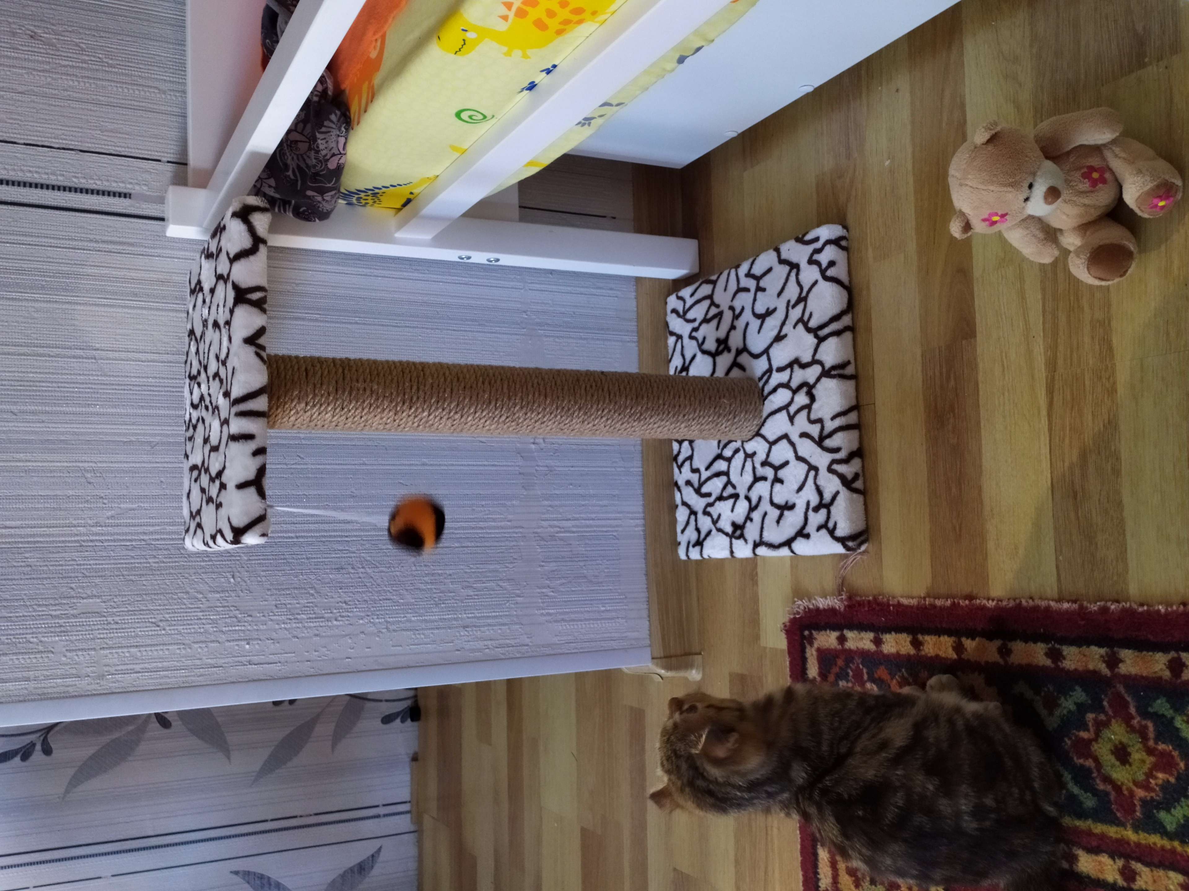 Фотография покупателя товара Когтеточка "Столбик" с площадкой и игрушкой,  30 х 52 см, джут,  микс цветов - Фото 36