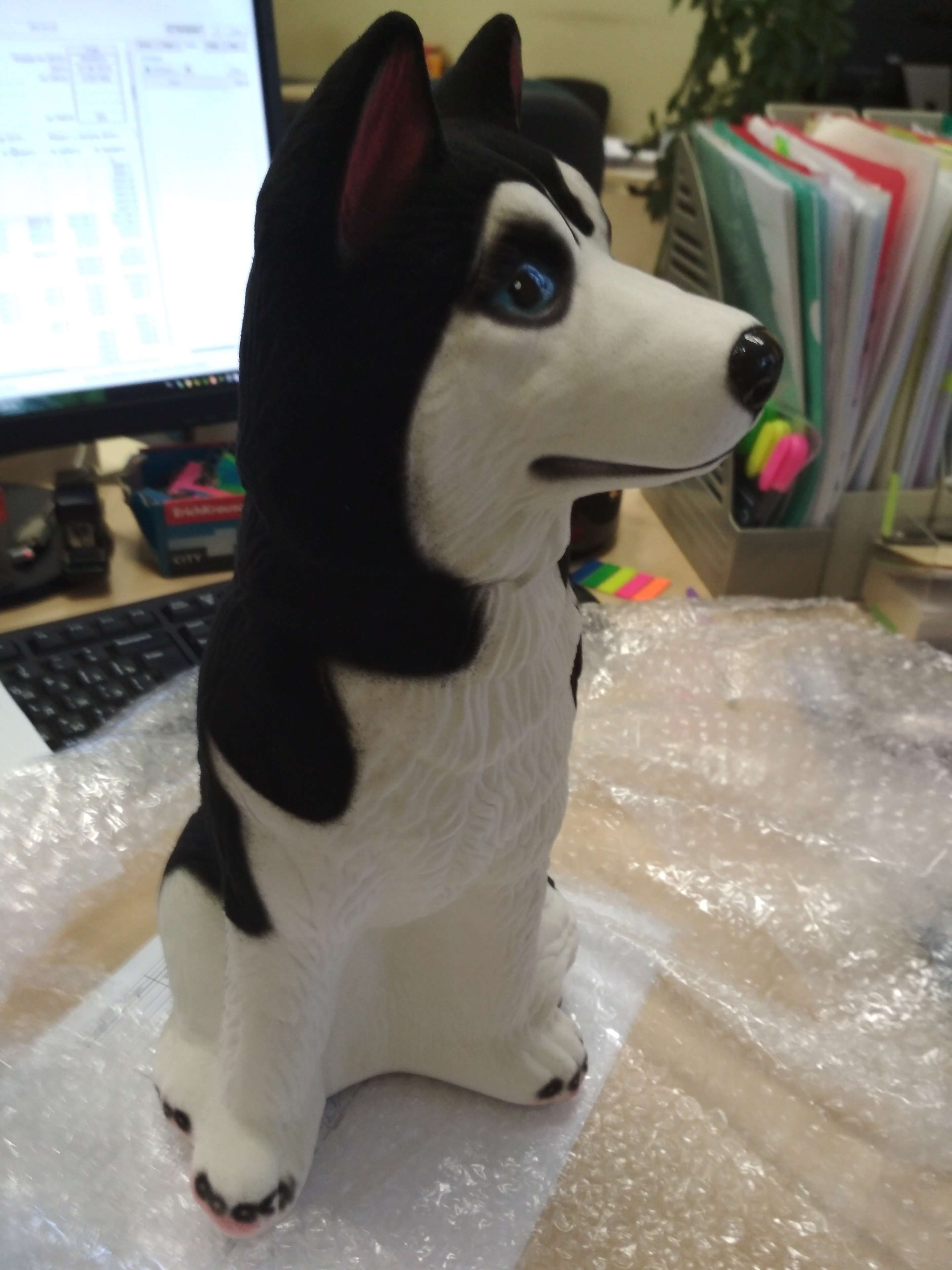 Фотография покупателя товара Копилка "Собака Хаски", белый цвет, флок, керамика, 39 см - Фото 6