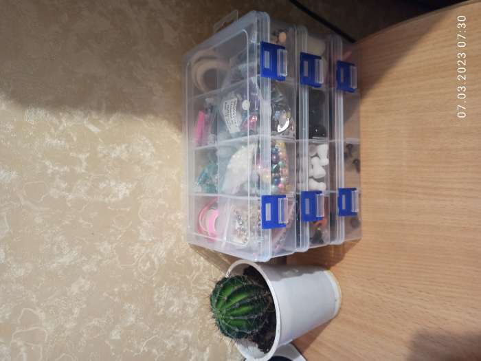 Фотография покупателя товара Органайзер для хранения мелочей, с подвесом, передвижные перегородки, 8 секций, 20×13.5×4.5 см, прозрачный - Фото 1