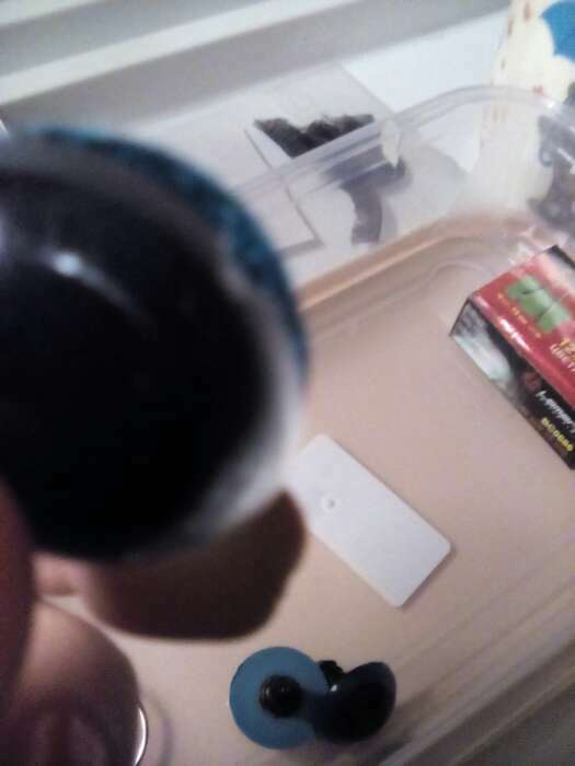 Фотография покупателя товара Глаза винтовые с заглушками, «Блёстки» набор 18 шт., размер 1 шт.: 2.4 см, голубые - Фото 6