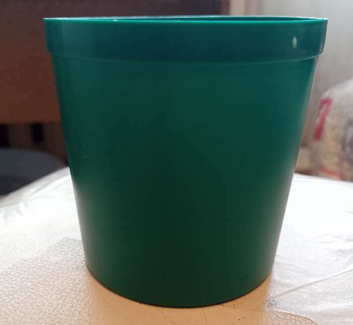 Фотография покупателя товара Набор для рассады: стаканы по 500 мл (8 шт.), поддон 40 × 20 см, цвет МИКС, Greengo - Фото 4