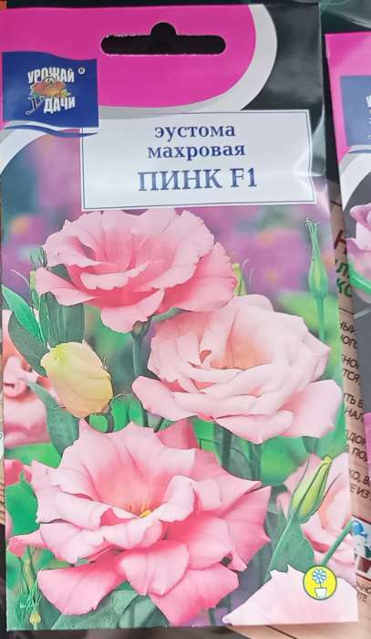 Фотография покупателя товара Семена цветов Эустома махровая "Рози Пинк", F1, в ампуле, 0,003 г. - Фото 2