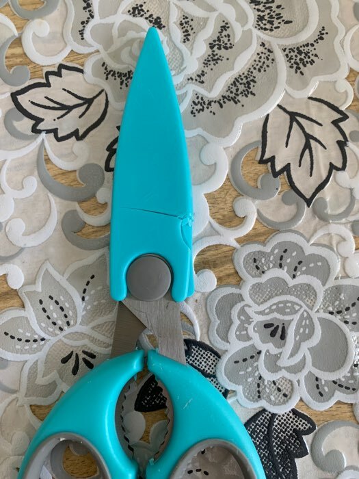 Фотография покупателя товара Ножницы кухонные Доляна «Эльба», 22 см, цвет голубой