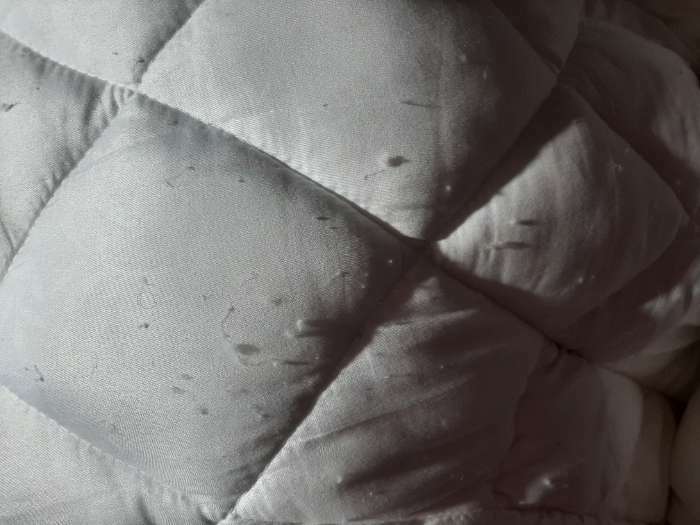 Фотография покупателя товара Одеяло Лебяжий пух 140х205см, вес 1,73кг, микрофибра - Фото 1