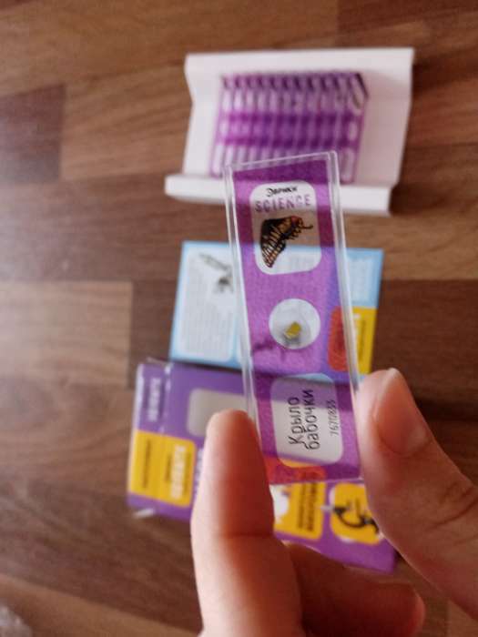 Фотография покупателя товара Набор для опытов «Набор микропрепаратов», насекомые - Фото 14