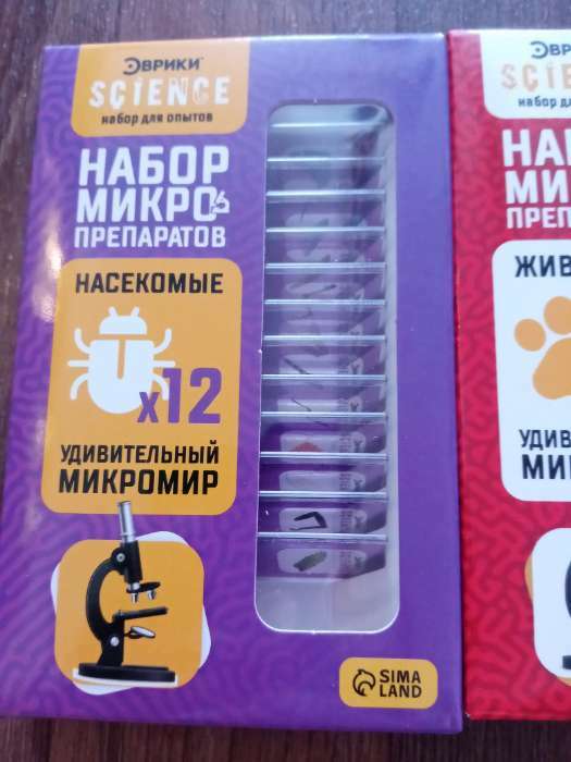 Фотография покупателя товара Набор для опытов «Набор микропрепаратов», насекомые - Фото 16