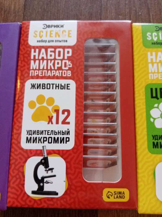 Фотография покупателя товара Набор для опытов «Набор микропрепаратов», насекомые - Фото 5