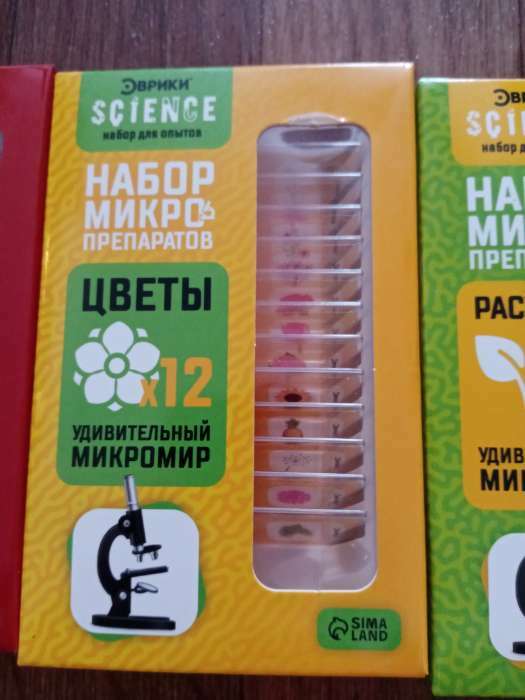 Фотография покупателя товара Набор для опытов «Набор микропрепаратов», насекомые - Фото 1