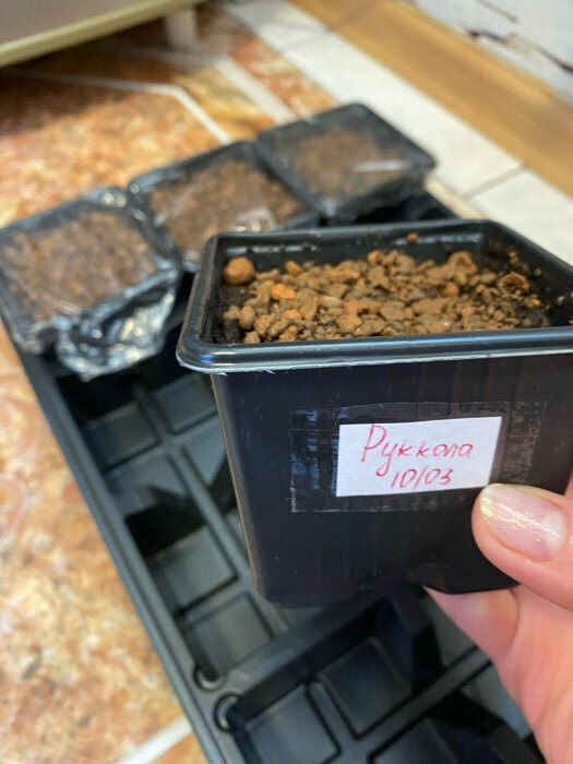 Фотография покупателя товара Дренаж Керамзит «Рецепты Дедушки Никиты» фр 0-5, 1 л - Фото 3