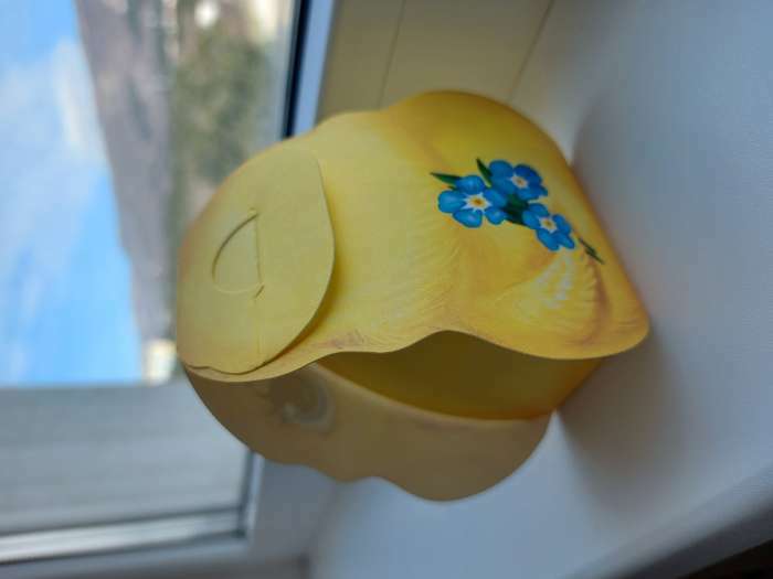 Фотография покупателя товара Формовая коробочка для яйца «Цыплёнок», 22.8×30.8 см - Фото 1