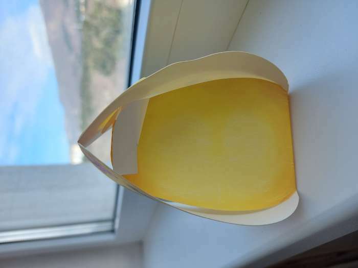 Фотография покупателя товара Формовая коробочка для яйца «Цыплёнок», 22.8×30.8 см - Фото 3