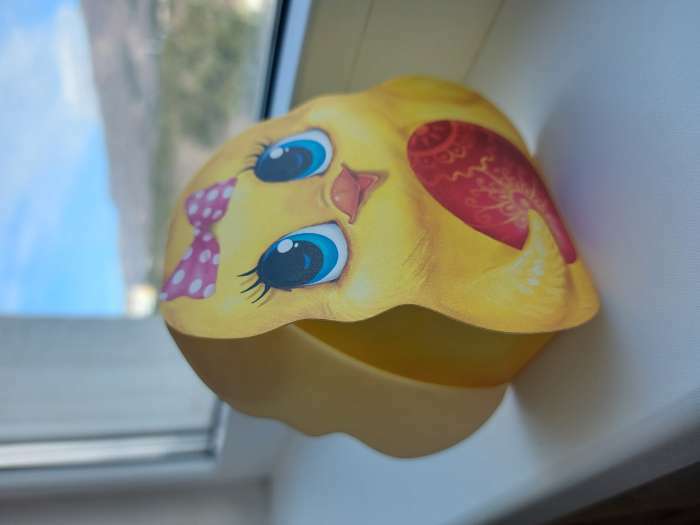 Фотография покупателя товара Формовая коробочка для яйца «Цыплёнок», 22.8×30.8 см - Фото 2