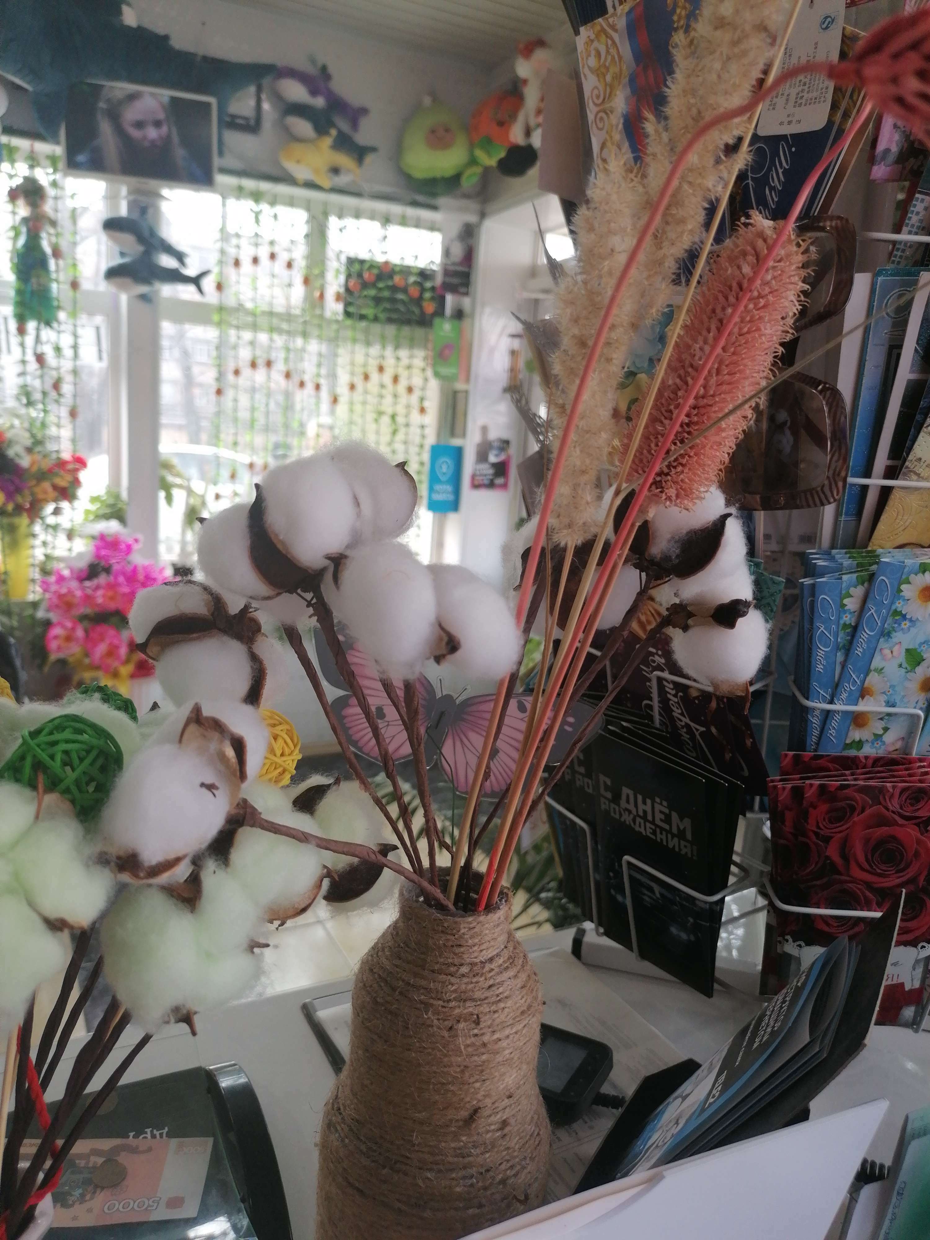 Фотография покупателя товара Сухоцвет хлопок «Сливочные облака» - Фото 2