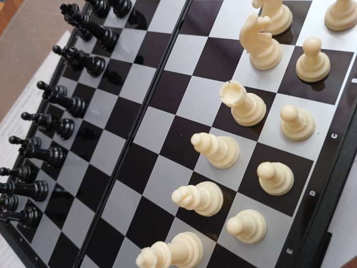 Фотография покупателя товара Настольная игра 3 в 1 "Зук": нарды, шахматы, шашки, магнитная доска 24.5 х 24.5 см - Фото 1