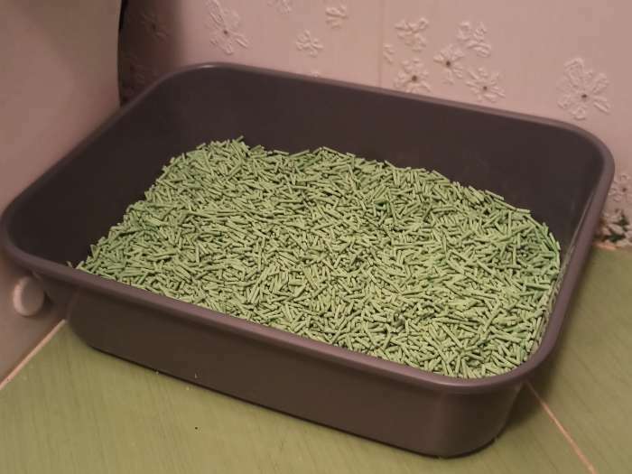 Фотография покупателя товара Наполнитель тофу, "Пижон" зеленый чай    6 кг  впитываемость  до 15 л - Фото 1