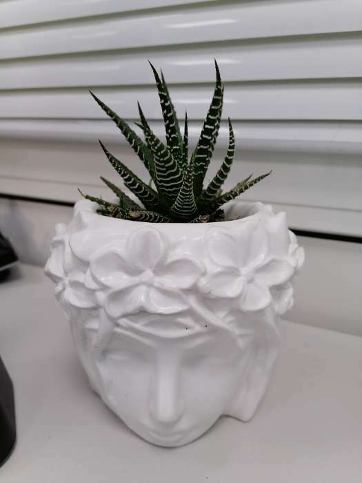 Фотография покупателя товара Декоративный горшок «Лицо девушки», гипс, 350 мл, 12×10×12 см, белый - Фото 2