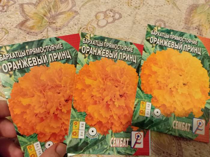 Фотография покупателя товара Семена цветов Бархатцы прямостоячие "Оранжевый принц", О, 0,1 г - Фото 3