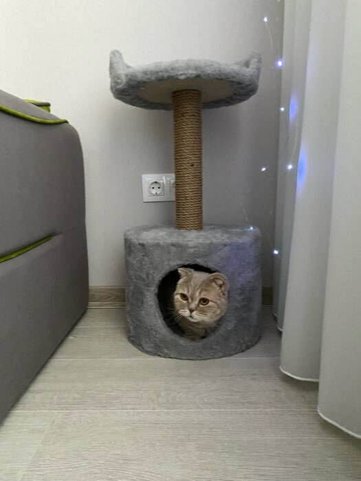 Фотография покупателя товара Дом для кошек с когтеточкой, с лежаком, круглый, 35 х 35 х 70 см, серый - Фото 1