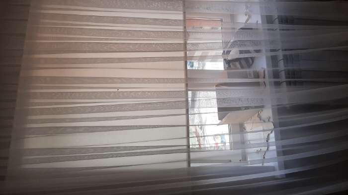 Фотография покупателя товара Рулонная штора «Комфортиссимо», 40х160 см, цвет кремовый - Фото 1