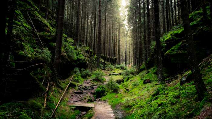 Фотография покупателя товара Коробка под торт 2 окна, с ручками, белая, 22×22×15 см - Фото 12