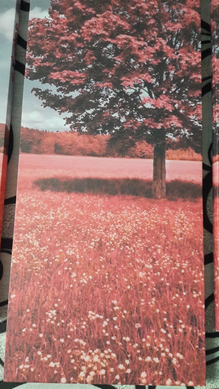 Фотография покупателя товара Картина модульная на подрамнике "Дерево в поле" 2-43х25,2-58х25,1-72х25, 72*125см - Фото 1