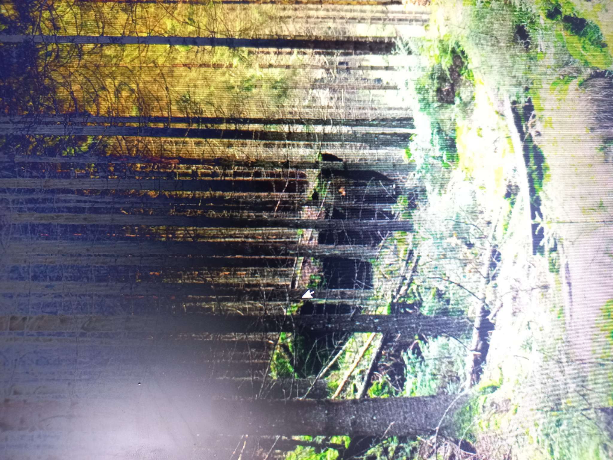 Фотография покупателя товара Коробка подарочная складная, упаковка, «Только для тебя», 16.5 х 12 х 5 см, БЕЗ ЛЕНТЫ - Фото 23