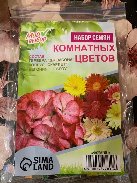Фотография покупателя товара Набор семян комнатных цветов "Хит продаж" - Фото 5