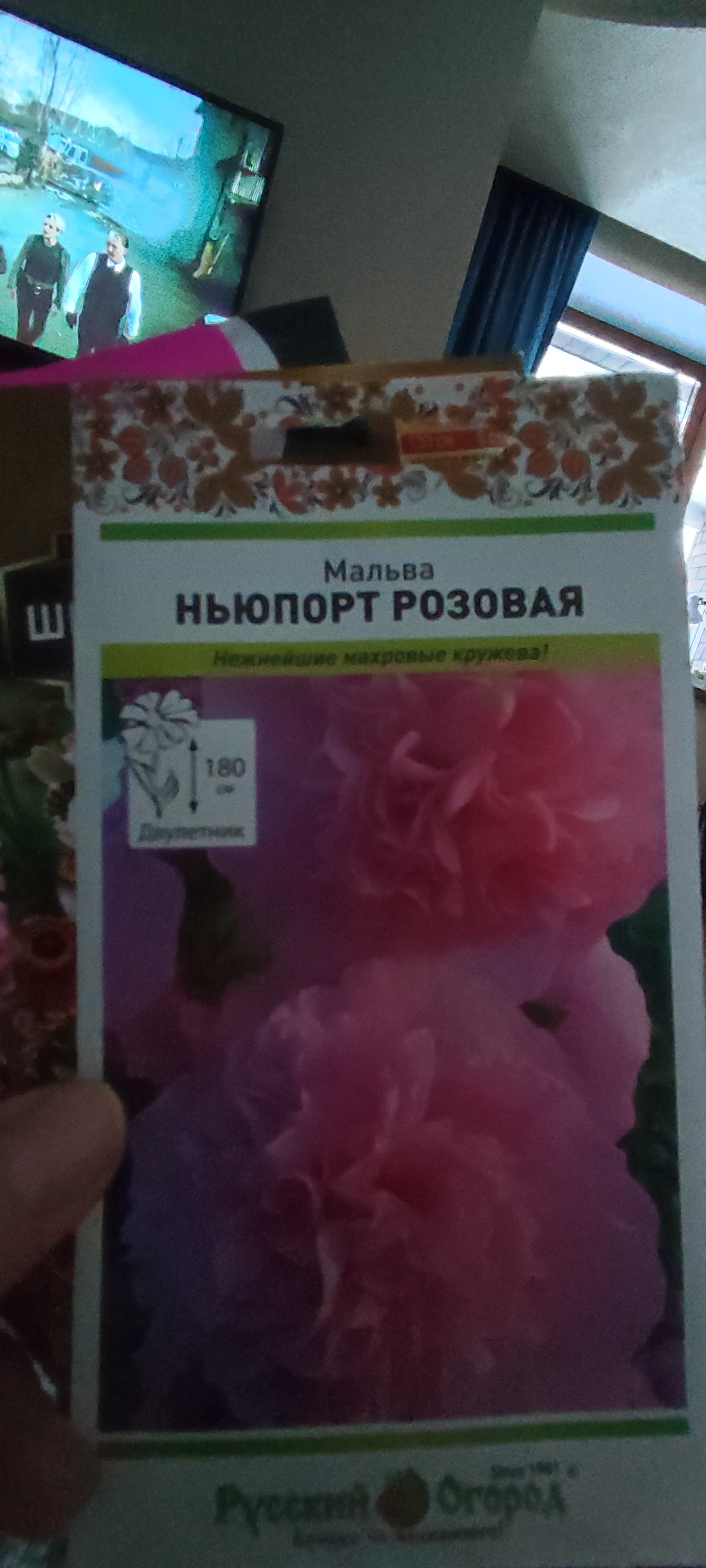 Фотография покупателя товара Семена цветов Мальва "Ньюпорт", 0,2 г
