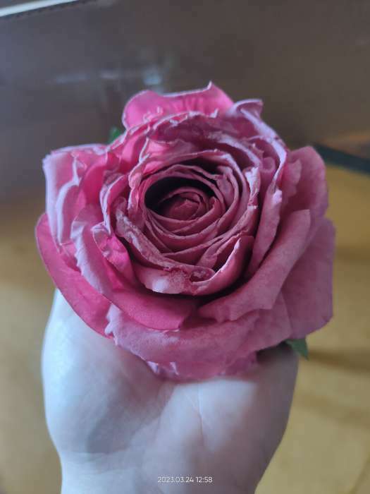 Фотография покупателя товара Цветы искусственные "Роза эстетик" 10х49 см, красный - Фото 1