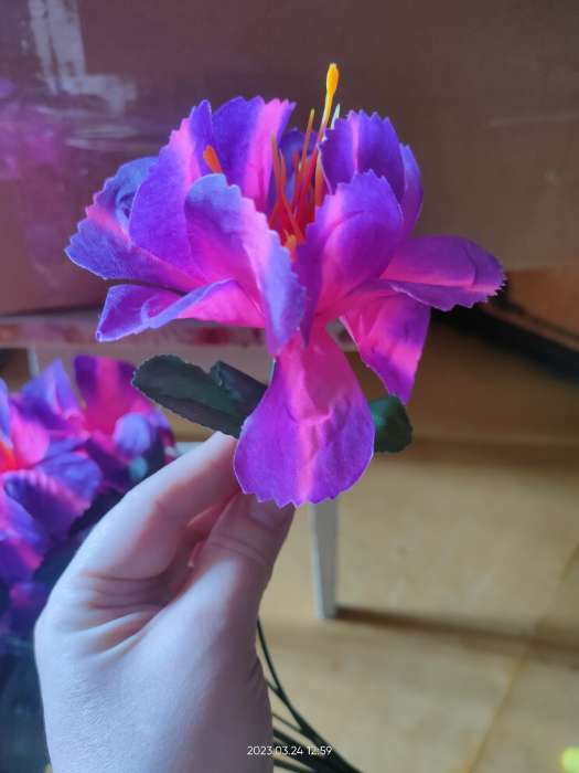Фотография покупателя товара Цветы искусственные "Бегония криспа" d-11 см 27 см, сиреневый - Фото 5