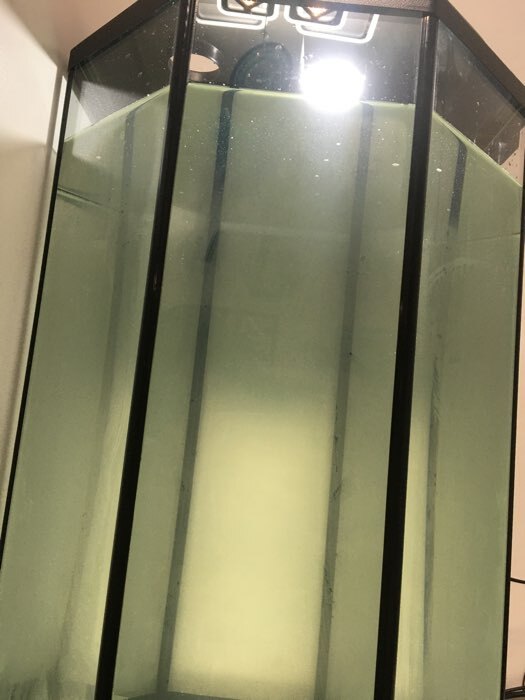 Фотография покупателя товара Аквариум "Восьмигранный" с крышкой, 70 литров, 40 х 40 х 60/66 см, чёрный