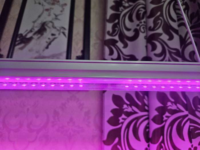 Фотография покупателя товара Фитосветильник светодиодный Luazon, 18 Вт, 1200 мм, IP40, 220 В, мультиспектральный - Фото 40