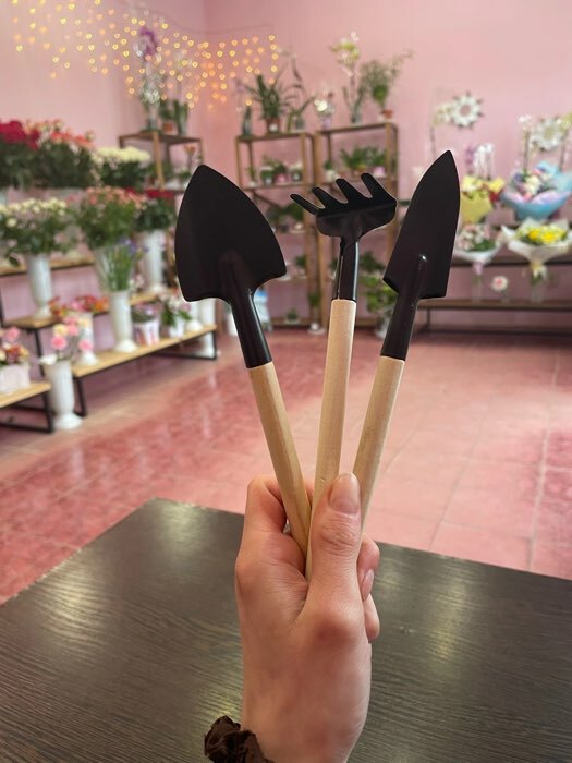 Фотография покупателя товара УЦЕНКА Набор садового инструмента, 3 предмета: грабли, 2 лопатки, длина 24 см, деревянные ручки, Greengo - Фото 7