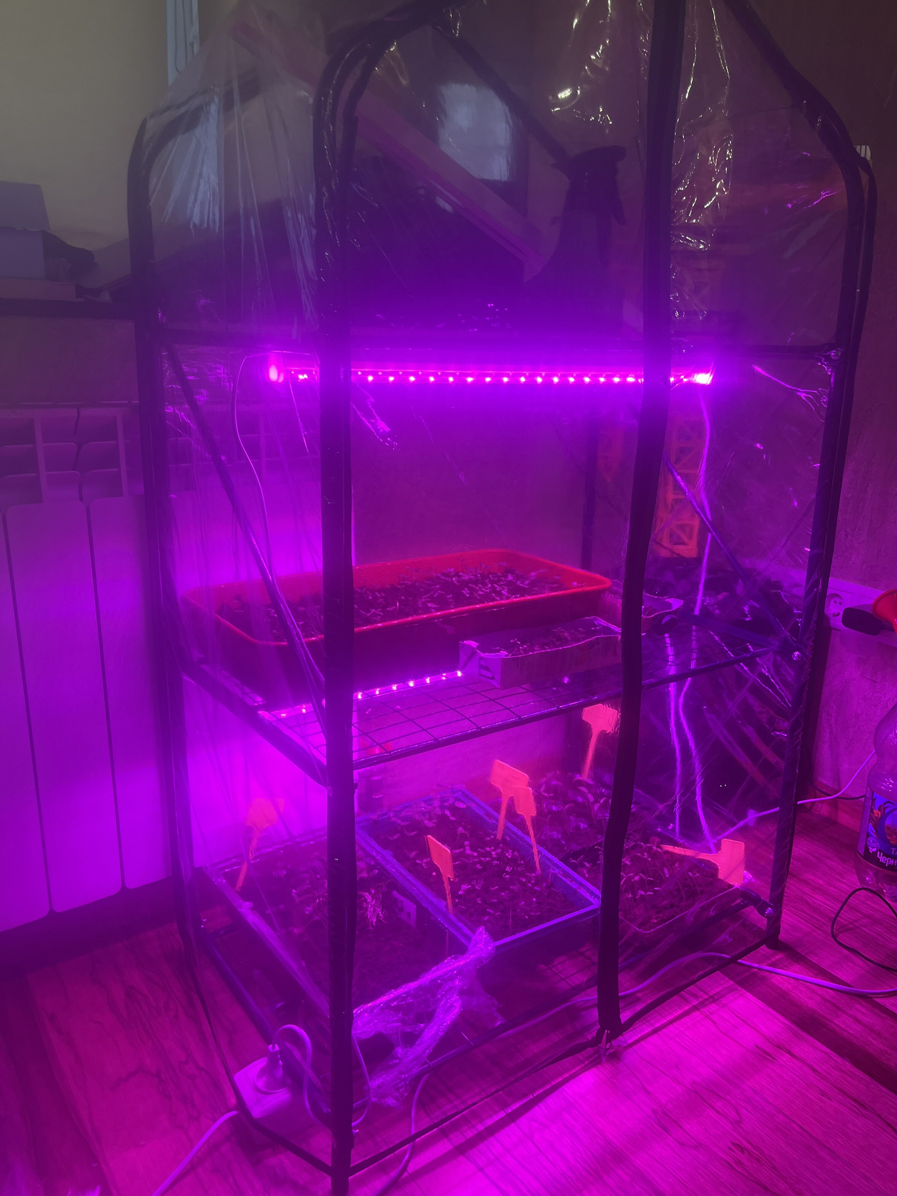 Фотография покупателя товара Парник-стеллаж, 3 полки, 110 × 65 × 40 см, металлический каркас d = 16 мм, чехол плёнка 100 мкм - Фото 2