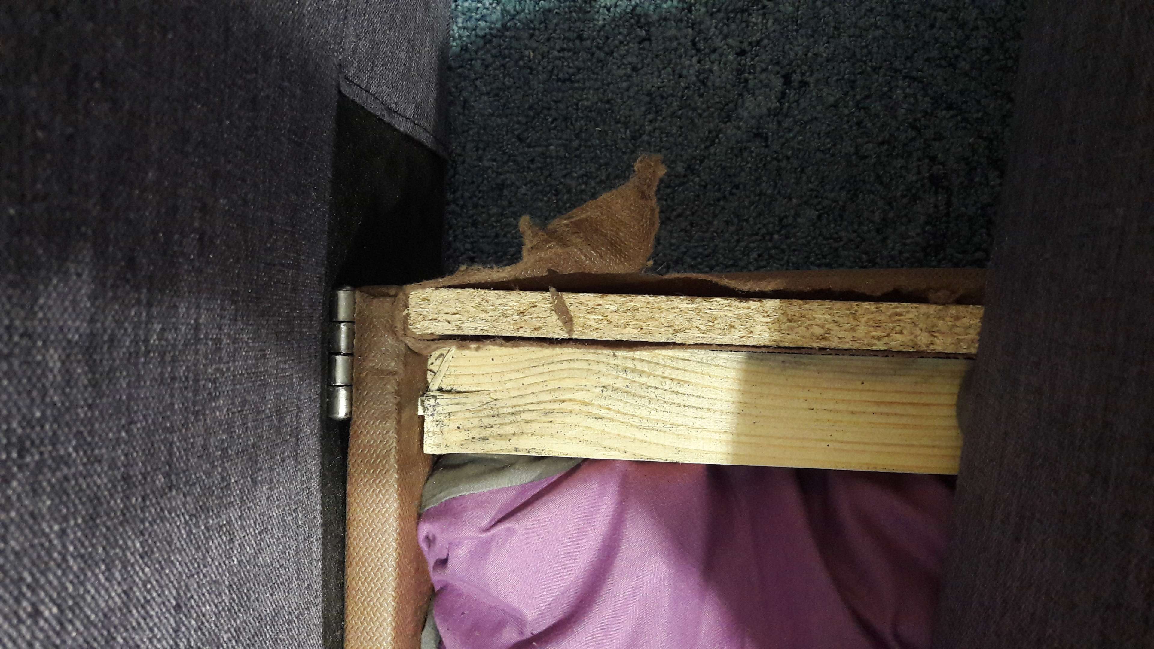 Фотография покупателя товара Диван-кровать NEXT, обивка рогожка «баклажан» - Фото 9