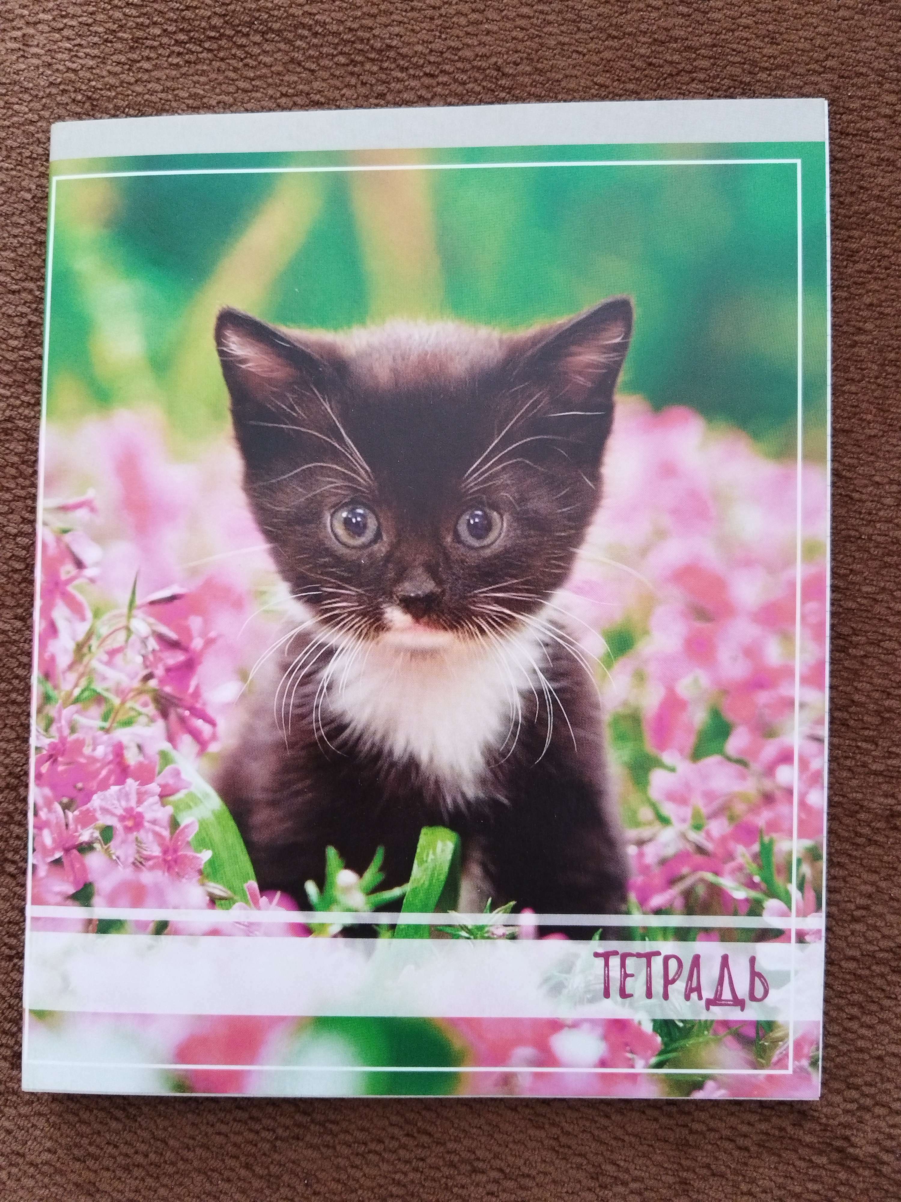 Фотография покупателя товара Тетрадь 36 листов в клетку Calligrata "Котята", обложка мелованный картон, блок офсет, МИКС