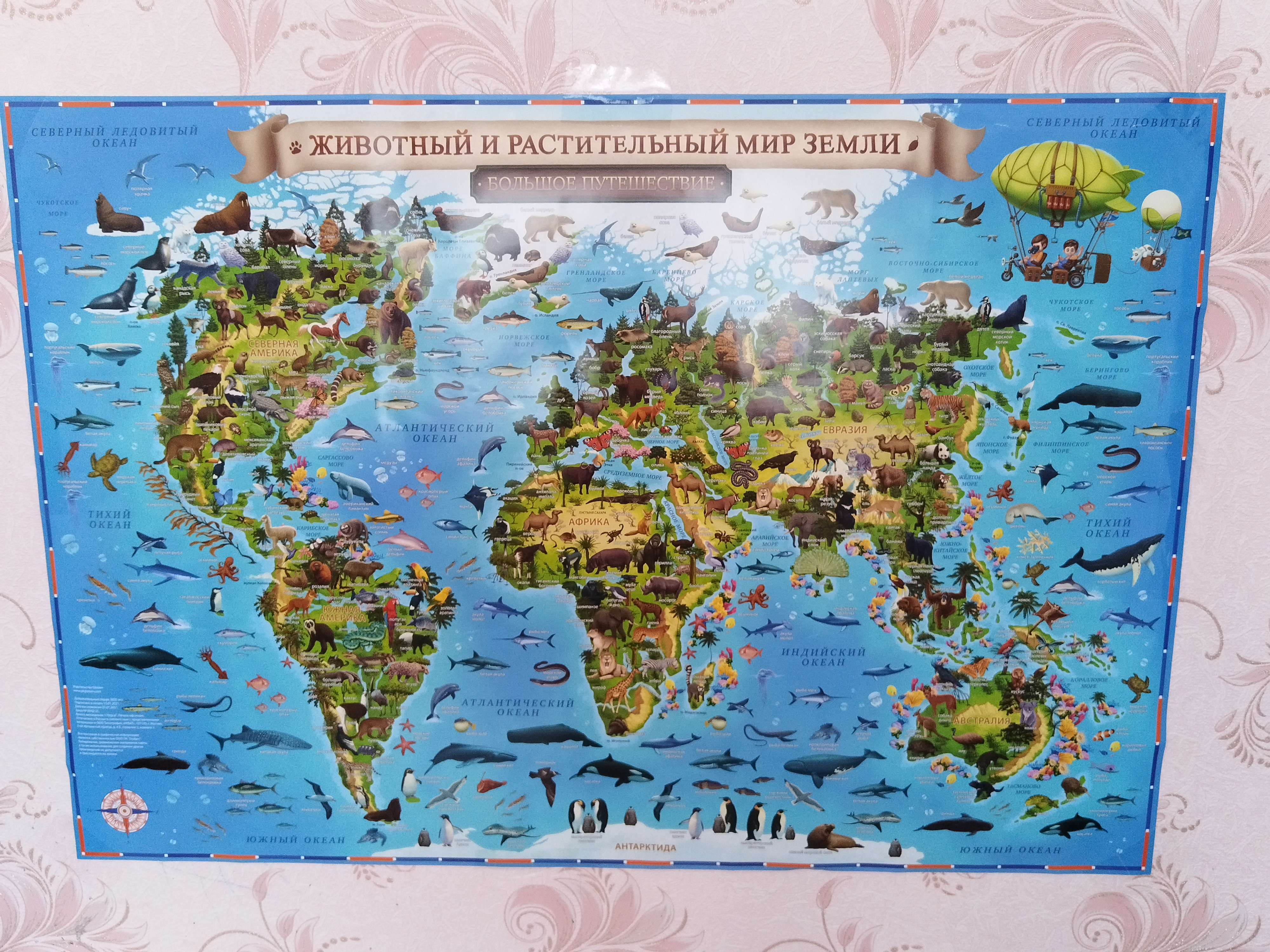 Фотография покупателя товара Географическая карта Мира для детей "Животный и растительный мир Земли", 101 х 69 см, без ламинации - Фото 1