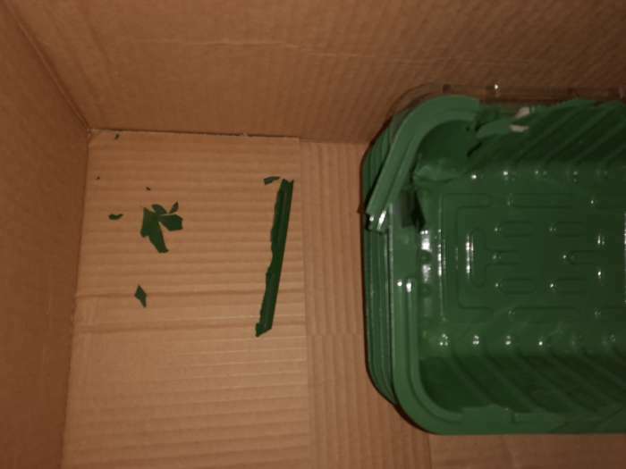 Фотография покупателя товара Мини-парник для рассады, 21,5 × 17 × 13 см, без вставок, зелёный - Фото 3