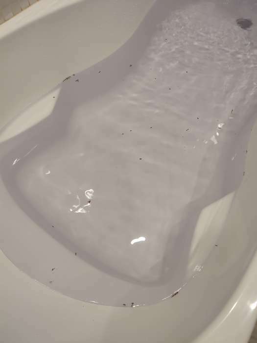 Фотография покупателя товара Бомбочка для ванны с цветами лаванды «Без фильтров», 130 г, BEAUTY FОХ - Фото 3