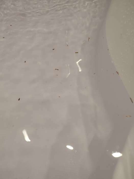 Фотография покупателя товара Бомбочка для ванны с цветами лаванды «Без фильтров», 130 г, BEAUTY FОХ - Фото 2
