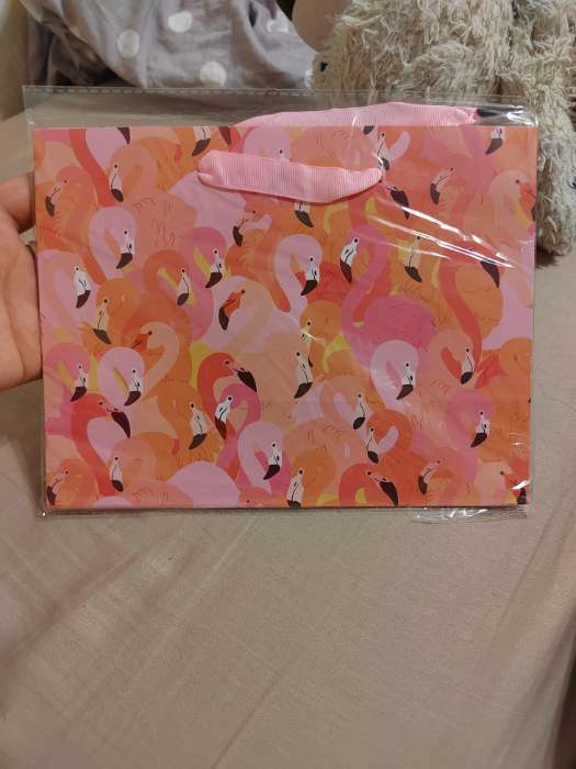 Фотография покупателя товара Пакет подарочный ламинированный горизонтальный, упаковка, «Фламинго», MS 18 х 23 х 10 см - Фото 1
