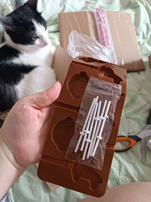 Фотография покупателя товара Форма для леденцов Доляна «Детство», силикон, 24×9.5 см, 6 ячеек (5×4.6), с палочками, коричневая - Фото 1