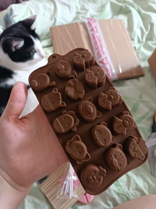 Фотография покупателя товара Форма для конфет и шоколада Доляна «Мордашки», силикон, 21×10.5 см, 15 ячеек (2.5×2.3 см), коричневая - Фото 3
