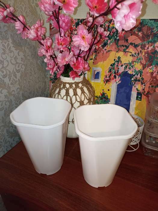 Фотография покупателя товара Горшок для цветов «Роза», 2 л, d=14 см, цвет белый - Фото 9