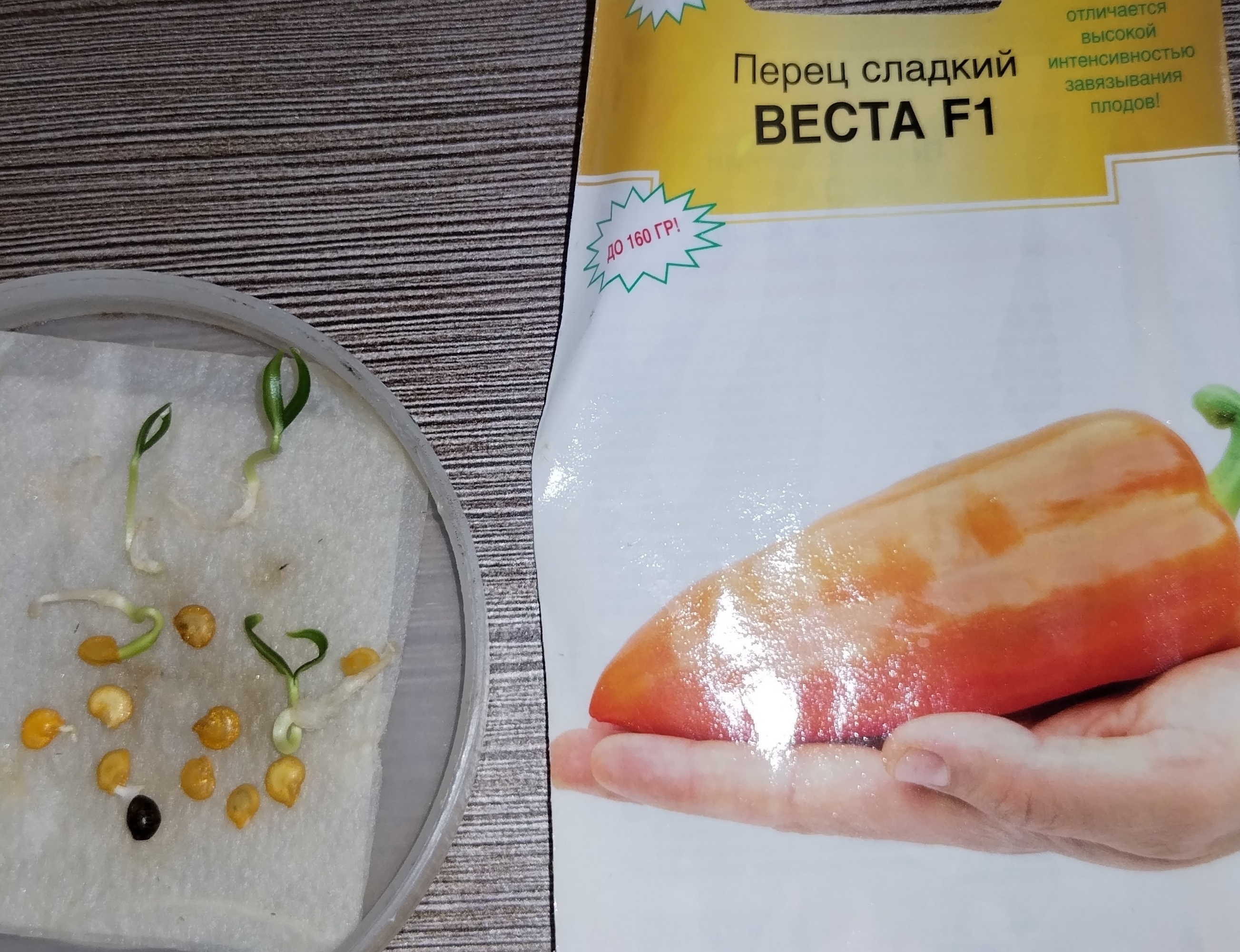 Фотография покупателя товара Семена Перец сладкий Веста F1, 5 шт - Фото 1